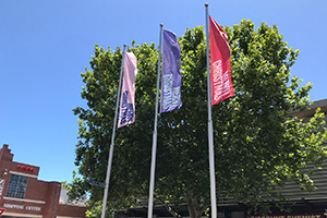 Textile flags printed, finished and installed by Imagesource for a client for their Christmas events in Fremantle