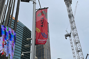 Imagesource printed, finished and installed these flags to Yagan Square for Development WA
